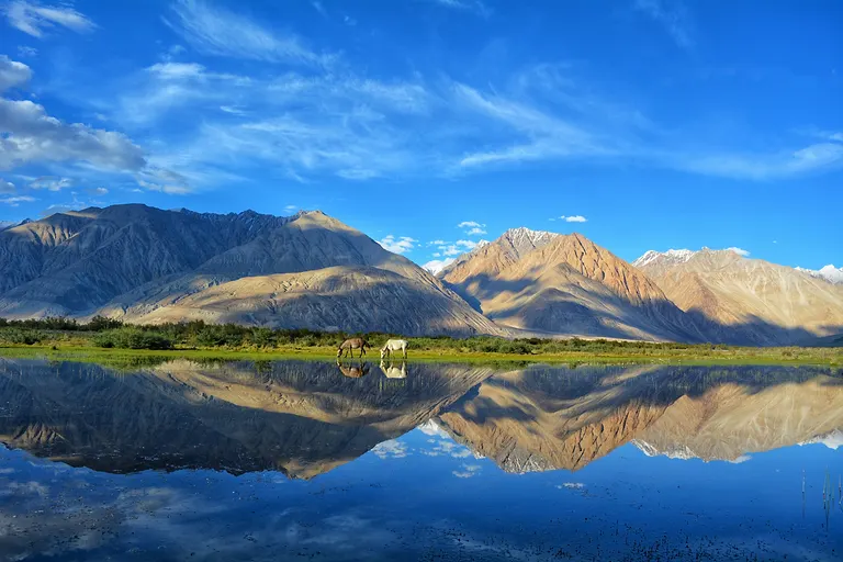 Two horses drinking at a mirror-still lake in the Nubra valley, bare mountains and snow peaks doubled in the reflection