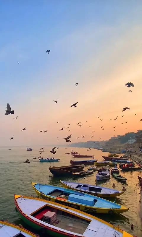 Boats moored below the ghats at first light, birds wheeling over the Ganga